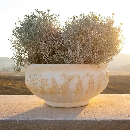 Pearl Of Lia Summer Breeze House Kalafati